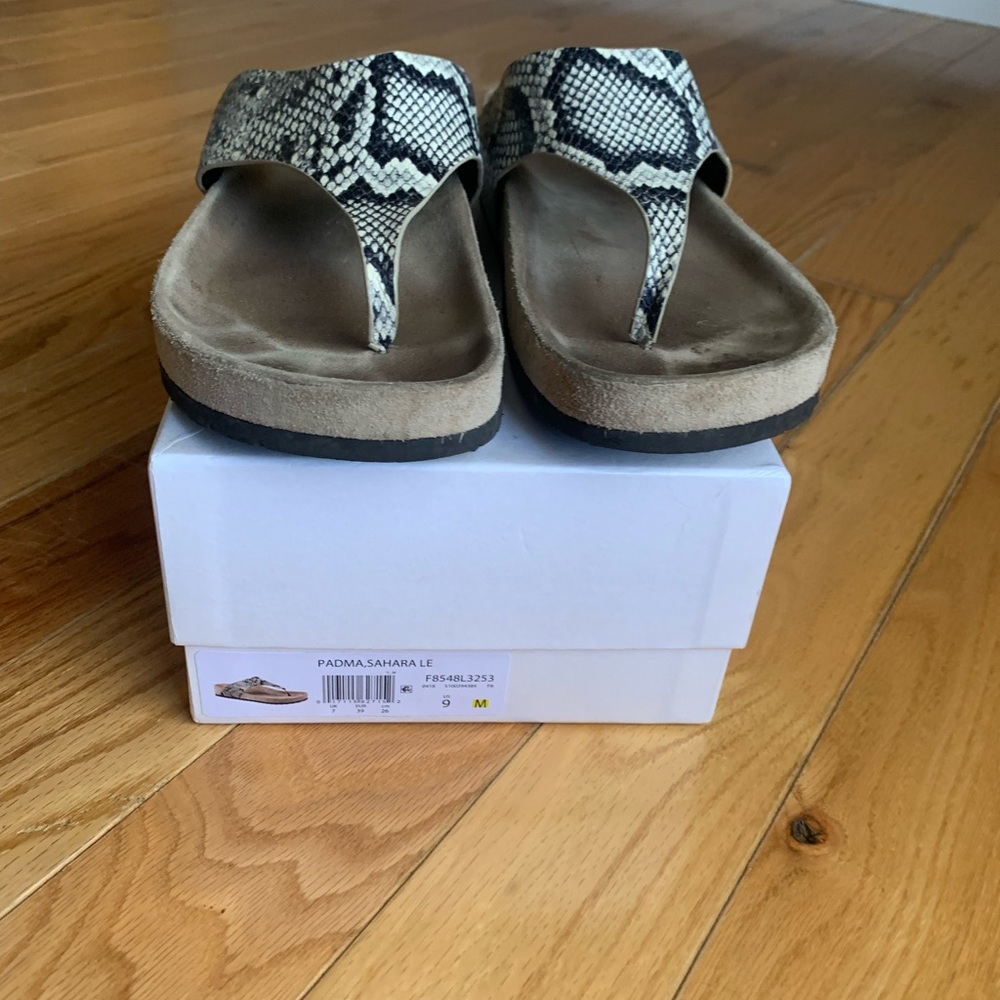 Vince Python Slides - image 2